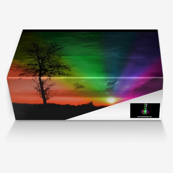 Vintage Rainbow Police Belted Boot (Womens) - Picture 6 of 6